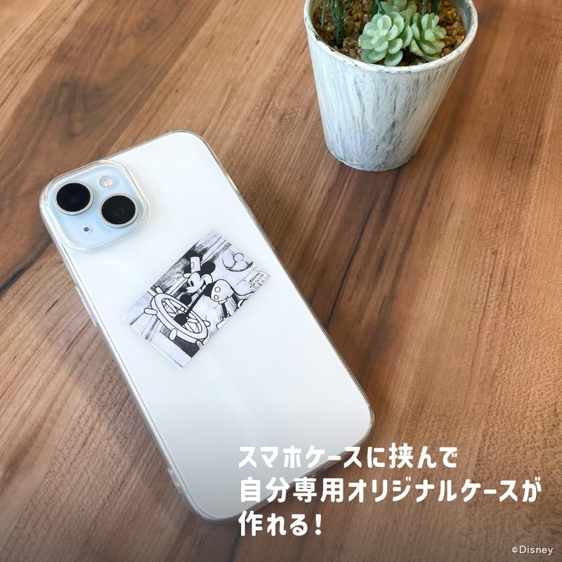 Premium Style Cinema Collection Sticker [Cinderella] PG-DSTK73CIN