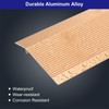 uxcell Aluminum Floor Transition Strip, 35.4inch Door/Tile/Carpet to Tile Transition