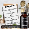 L-lysine Suplemento Inmunologico Antiviral 90 Caps 500mg