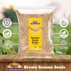 Rani Sesame Seeds Whole Brown, Raw (Till) 28oz (800gm) ~