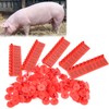 Pig Cattle and Sheep Ear Tag Farm Animal Indentification Card