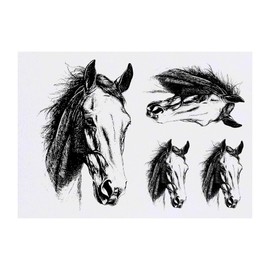 4 x 'Horse Portrait' Temporary Tattoos - Water Resistant, Skin-Safe, Non-Toxic Transfers, Mixed Sizes (TO00082082)