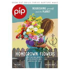 Pip Magazine - Issue 37