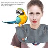 Parrot Shoulder Protector Stand Anti-scratch Anklet Pet Shoulder Pad Parrot