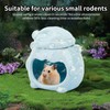 Bear-Shaped Ceramic Hamster Hideout - Cooling House for Syrian Dwarf