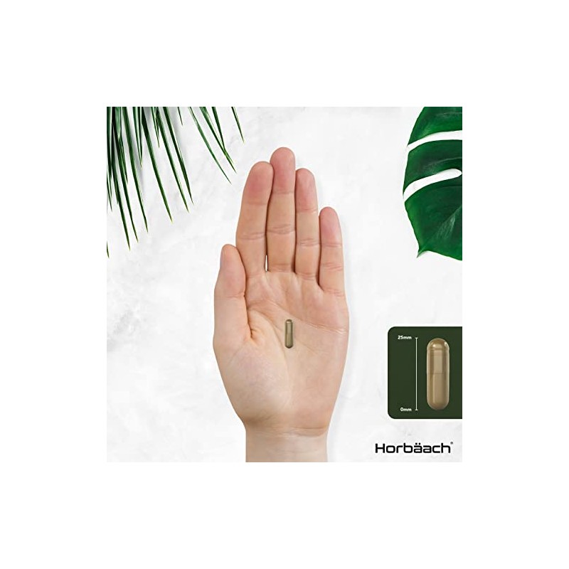 Artichoke Extract Capsules | 4000mg High Strength Leaf | 200