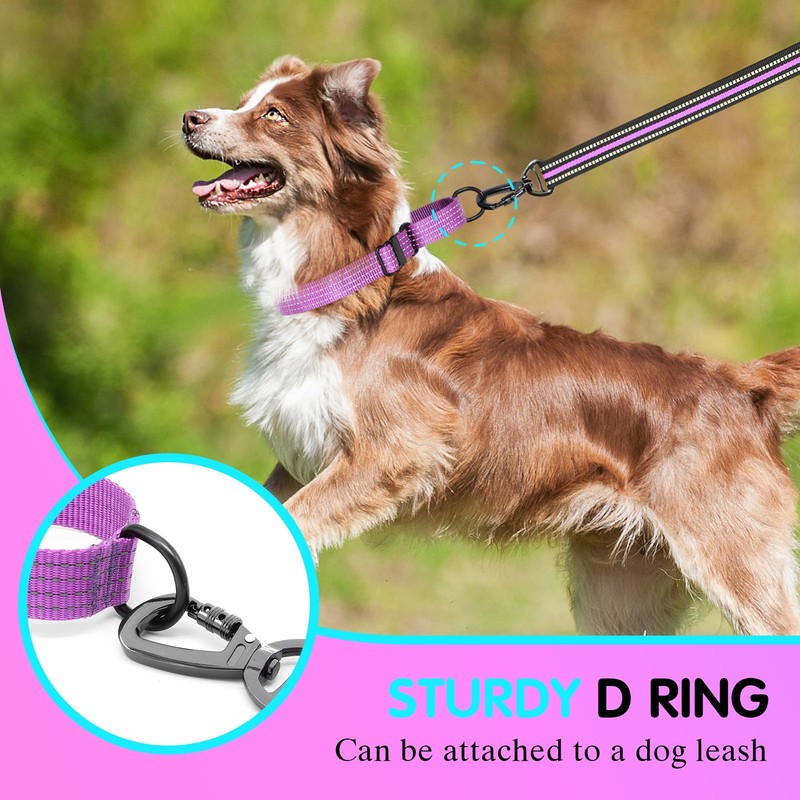 Bpawser Martingale Collar for Training Dogs 1 Count Adjustable Reflective