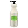 Dadatomo Irohas Scalp and Hair Care Shampoo 1500ml