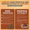 Pure Propolis Powder (100g) 100% Natural. Direct Propolis from Beekeeper.