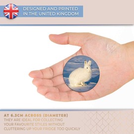 Destination Vinyl ltd Magnet for Refrigerator, Fridge - Cute White Arctic Hare Rabbit Snow for Office, Cabinet and Whiteboard, Magnetic Stickers, 44812