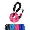 Misthis 5FT Strong Nylon Dog Leash with Comfortable Padded Handle