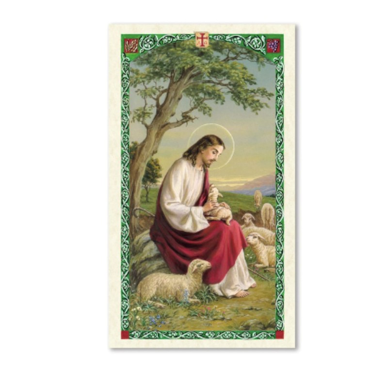 Holy Lines Act of Contrition Prayer Card for Preparation for
