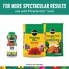 Miracle-Gro Spring Ahead - Granular Plant Food for All Plants,