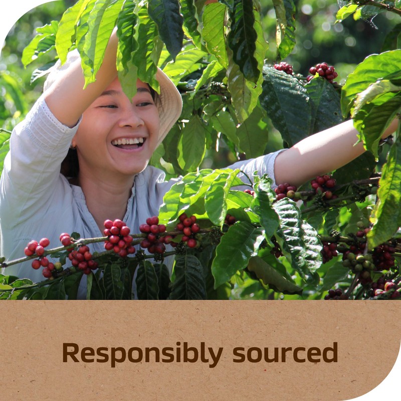 Nescafe Taster's Choice Instant Coffee, House Blend, 7 Ounce