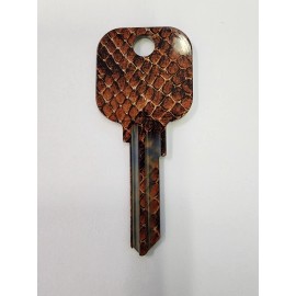 Jet Products Groovy Lizard House Key Blank-KW1 KW10 KW11-FREE SHIPPING! B20