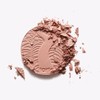 Tarte Amazonian Clay 12-Hour Blush Exposed 0.2 oz by Tarte