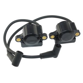 DSAI Ignition Coil Conversion Kit For Kohler CH740 CH750 CV740 CV750 SV735 SV740 24755172-S,2458489-S,2458463-S,2458464-S,2458453-S,2458449-S,2458452-S,2458490-S,24755173-S.2458431-S,2458441-S