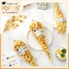 JarThenaAMCS 150 Set Graduation Treat Bags with Thanks for Popping