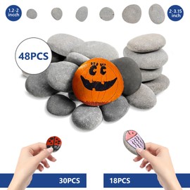 Nuanchu 96 Pcs River Rocks for Painting 1.2-3.15 Inch Smooth Natural Flat Rocks Assorted Size for Painting and Crafting, Family Time, Kid Party and Outdoor Art Garden Decor