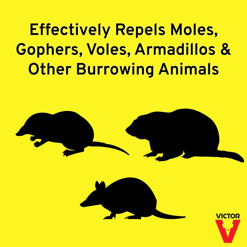 Victor M7001-1 Mole & Gopher Repellent, 64 Ounce (Pack of