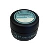 Vibrant by Palms Graceful Color Gel 3g MAG #001
