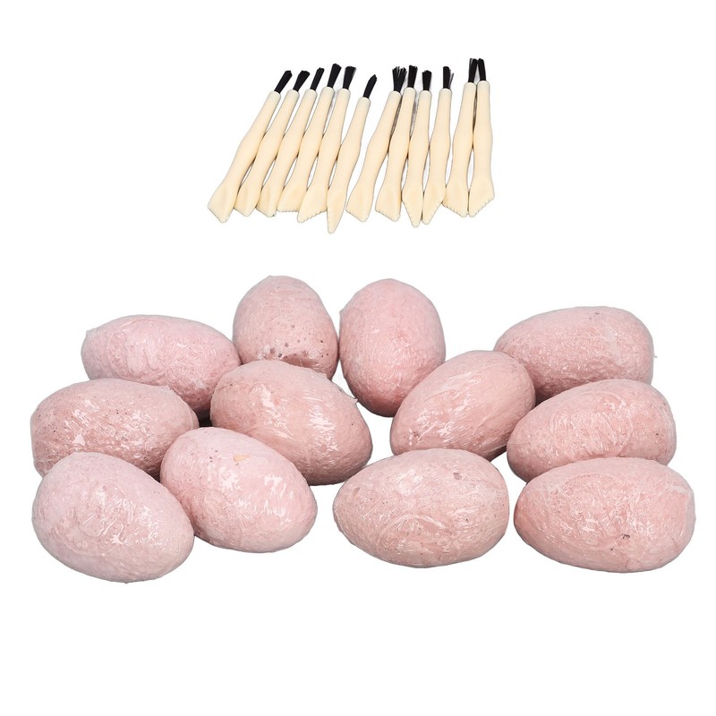 12 Set Dinosaur Egg Dig Kit Dinosaur Egg Excavation Kit