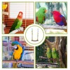 1 Piece Budgie Swing, Bird Toy for Budgies, Natural Perch