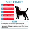 Seyezo Martingale Dog Collar - Adjustable No Buckle, Reflective Heavy