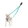 PetBonus Two Point Control Dog Leash, Works with No Pull