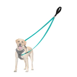 PetBonus Two Point Control Dog Leash, Works with No Pull Harnesses, No Tangle Dog Training Leashes, No Pull Padded and Reflective Walking Lead,Converts to Single Leash for Medium Large Dogs(Turquoise)