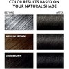 Tinte para El Cabello Negro Semipermanente 3 En 1-13.5 Fl