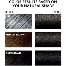 Tinte para El Cabello Negro Semipermanente 3 En 1-13.5 Fl Oz, Cobertura 100 Gris, Champú para Color de Cabello