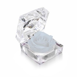 OOCOME Preserved Red Real Rose Gift Box, Forever Flowers Rose Ring Boxes, Anniversary, Valentines Day, Mothers Day, Christmas, Birthday Gifts, Gifts for Family, Wife, Girlfriend, Mom (White)