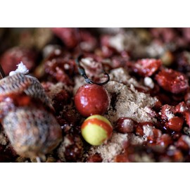 Tandem Baits Carp Feed Fishing Food Pop Ups Boilies Zig Rig Chod Rig Hook Bait Carp Food Perfection Mini Pop-Up 12mm 30g Earth Almond