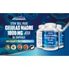VITAMISAN Beta Bears - The Best Tasting Pump Gummy for