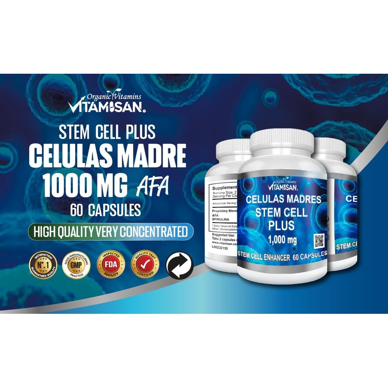 VITAMISAN Beta Bears - The Best Tasting Pump Gummy for