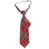 Widmann ? Tartan Tie