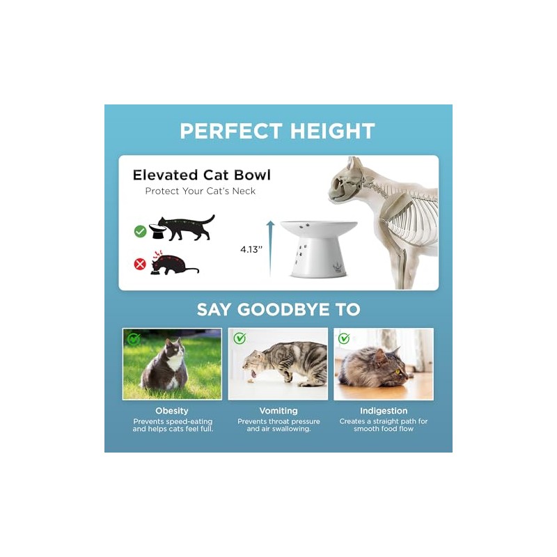 Necoichi Cuenco de Comida Extra Ancho para Gatos (Gato)