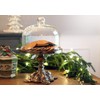 Nyakers Pepparkakor Swedish Ginger Snaps Cookies | Vegan Cookies |