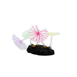 Lomas Arrecife de Coral Fluorescente Ch, colores Surtidos