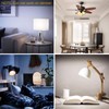 ILC RGB LED Light Bulb, Color Changing 40W Equivalent, Daylight