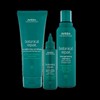 Aveda Botanical Repair Trio Bundle w/ Bond Building Flash Treatment