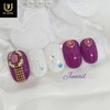 Princess Dress Handmade Nail Tips - Long Round Square /