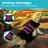 Bearded Dragon Lizards Clothes with Leash Set - Cute Lizard