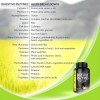 Enzimas Digestivas Premium Probioticos Proteoliticas Eg E46 Sabor Sin sabor