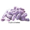 Finding Nemo Decal Tropical Fish Coral Reef Wall Sticker Ocean