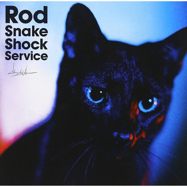 Rod Snake Shock Service