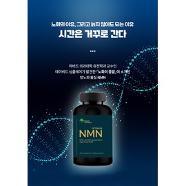 NMN Nicotinamide Nicotinamide Riboside 500mg 120 Capsules / NMN 니코틴아미드 니코틴산아미드 리보사이드 500mg 120캡슐