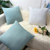 Booque Valley Throw Pillow Covers, Pack of 2 Super Soft