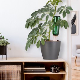 Relaxdays Tonkegel Bewässerung 4er Set, Gießkegel für 1,5 l PET-Flaschen, Zimmerpflanzen & Balkonkästen, terrakotta/weiß